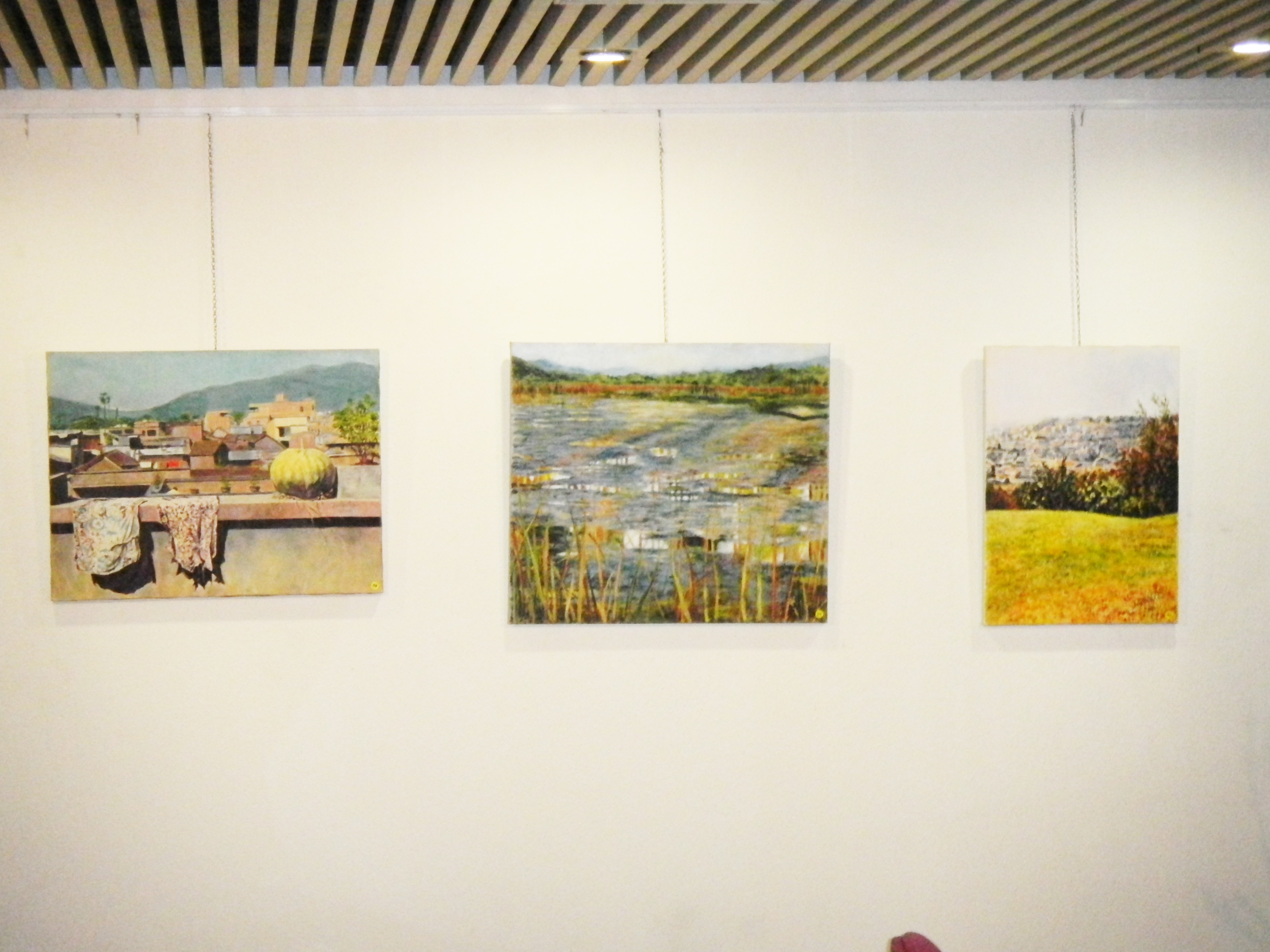Three framed paintings hang beneath ceiling lights on a pale gallery wall, showing rooftops, fields and trees.